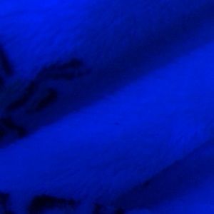 Meet your Posher, Alexa